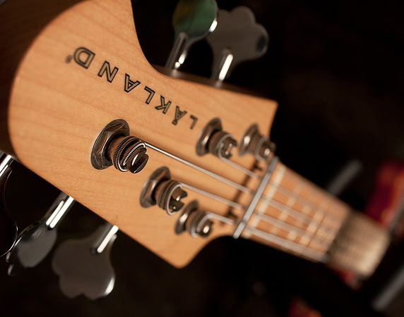 bass guitar